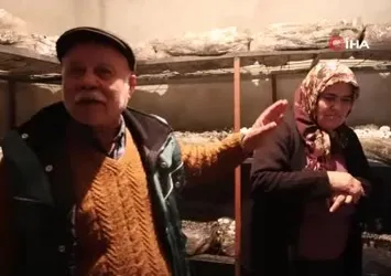 Emekli olunca hobisi ekmek teknesi oldu