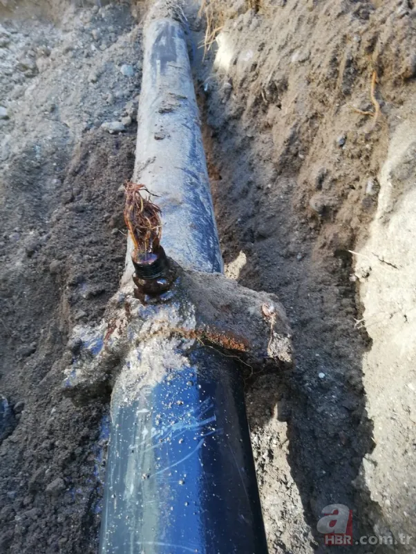 Tıkanan su borusundan çıkan şoke etti! 1 buçuk metrelik... 10