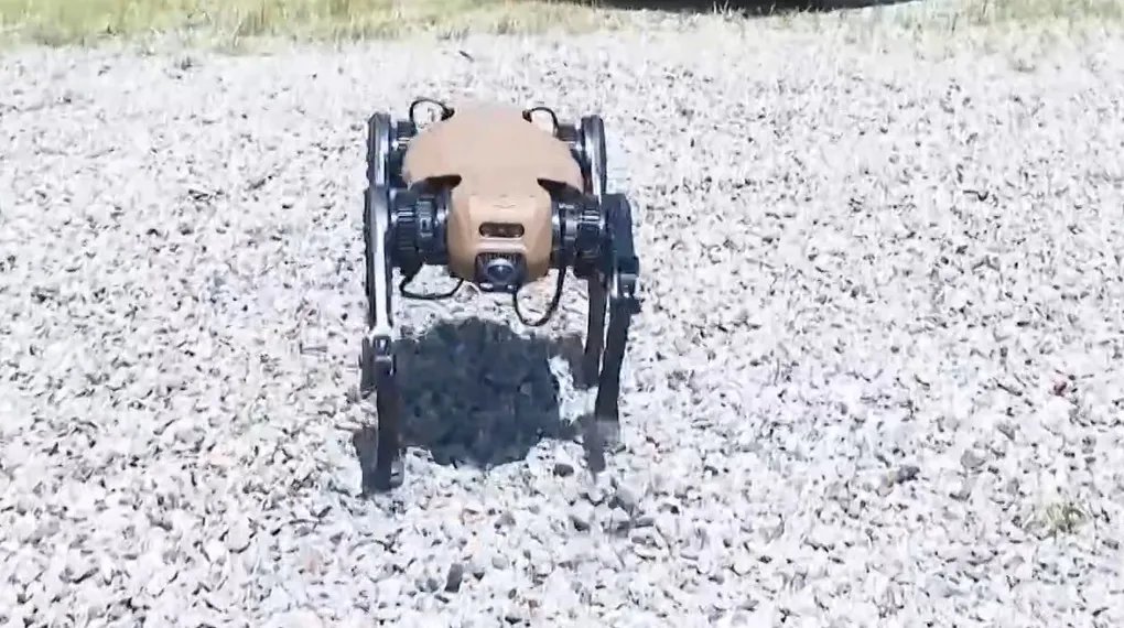 Türkiye’nin ilk askeri robot köpeği