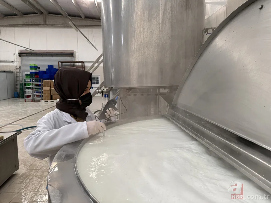 200 litreden 7 tona uzanan dev yolculuk: Sofraların lezzeti onlara emanet 3