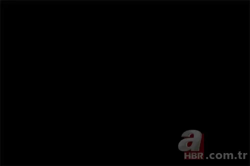 İşte Türklerin soyağacı! Hangi il hangi boydan geliyor? 12