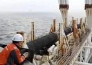 Avrupaya gaz akışı başladı