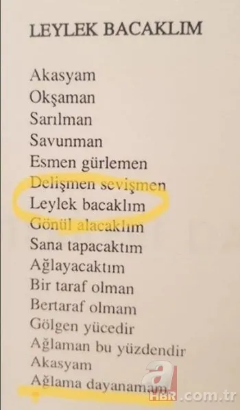 Muharrem İnce'nin şiir kitabı! Erotik ifadeler içerek şiirler Muharrem İnce'yi alay konusu yaptı 4