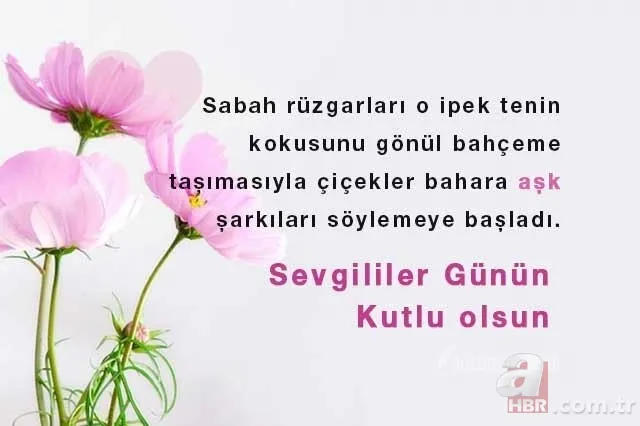 Sevgililer Günü hediyesi bayan için erkek için neler alınabilir? 14 şubat Sevgililer Günü hediye fikirleri 9
