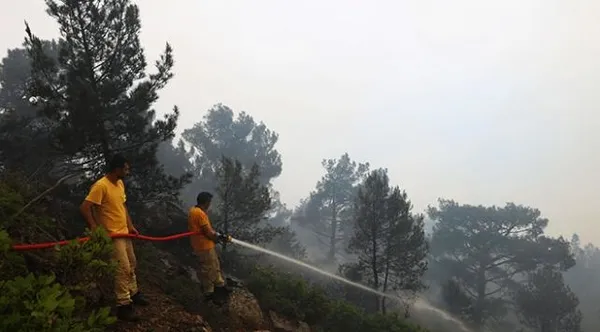 Hatay'da orman yangını devam ediyor - 2