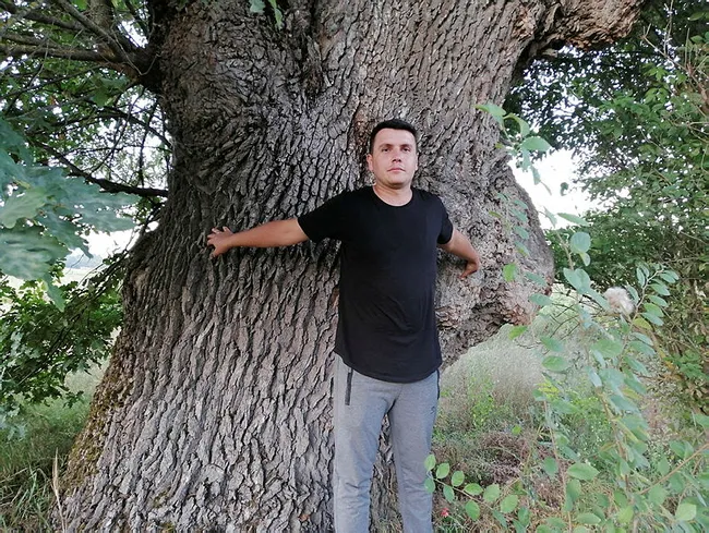 Bilecik’te 10 metre genişliğindeki 500 yıllık ağacı görenler şaşırıyor - 2