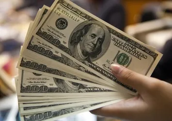 Bakan Elvan'dan 'dolar' açıklaması