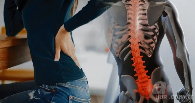 Bel, göbek, boyun her derde deva! İbrahim Saraçoğlu'ndan fıtığa gizli şifa kürü! Sadece 5 dakika bekleyin... 4