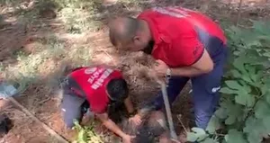 Mersin’de köpek kurtarma operasyonu