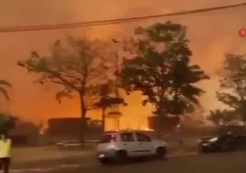 Brezilya'da orman yangınları: 2 ölü