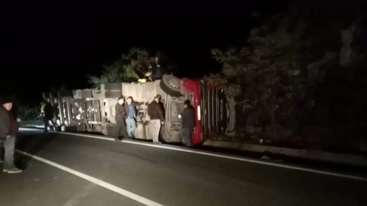 Ordu'da talaş yüklü TIR devrildi: 1 ölü