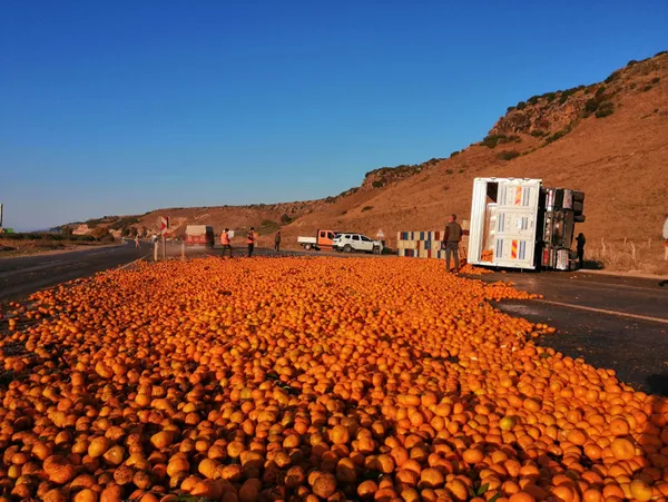 emeklere-yazik-oldu-15-ton-mandalina-yola-sacildi-1607293516173.jpg Emeklere yazık oldu: 15 ton mandalina yola saçıldı - 5