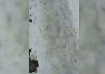 Ruslar şaşkın! Yeşil kar yağdı