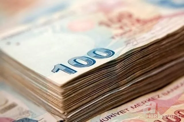 Vergi barışı başvuruları başladı! Ceza ve faizler siliniyor 3