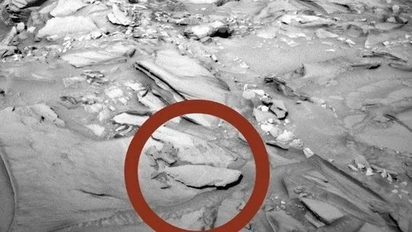 NASA tüm gerçekleri dünyadan saklıyor