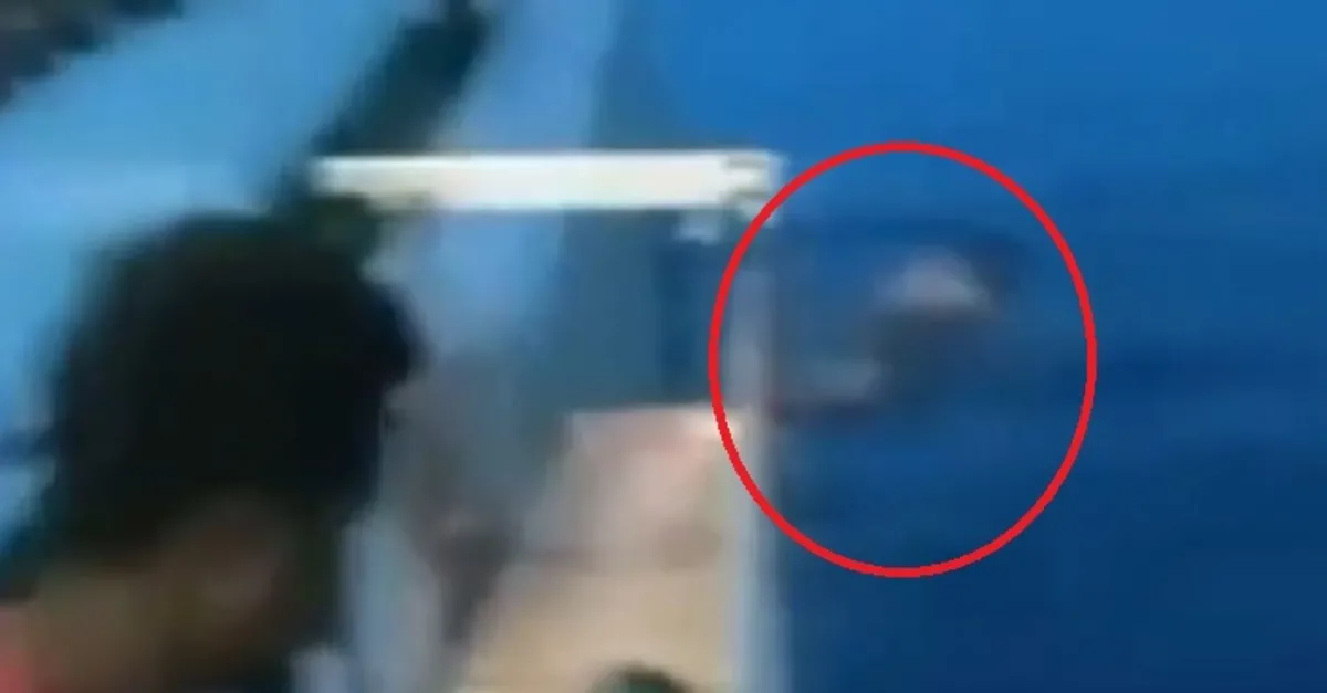 Feribotta koronavirüs paniği! Duyan denize atladı |Video