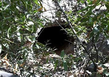 Siirt'te PKK'ya ağır darbe