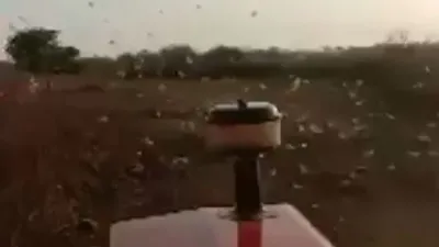 İstilaya karşı sıra dışı yöntem