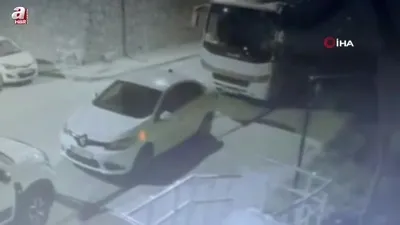 Sokak köpekleri ilçenin kabusu oldu