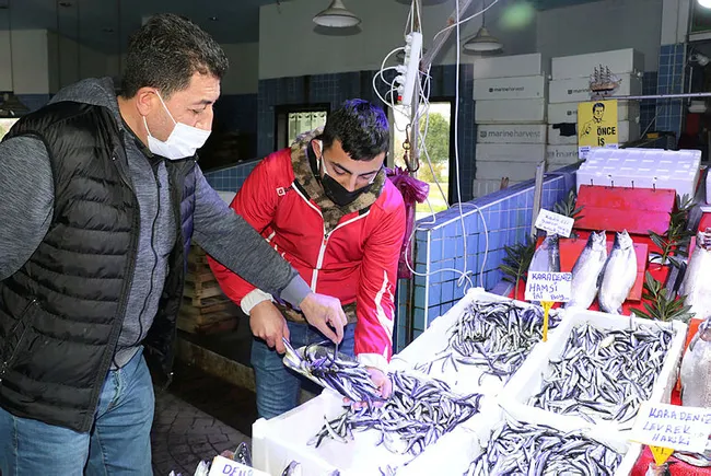 Karadeniz'de bir ilk yaşandı! Balıklar tersine göçe başladı - 4