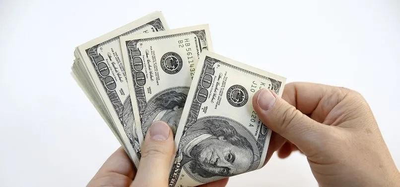 merkez bankasi acikladi dolar ne kadar