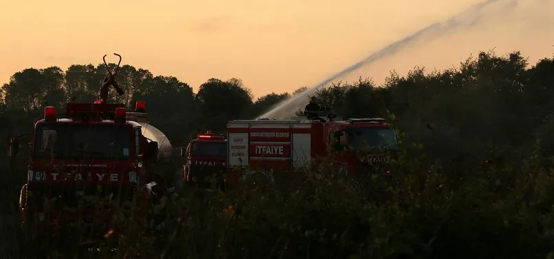 Kızılırmak Deltası Kuş Cenneti’nde çıkan yangın kontrol altına alındı