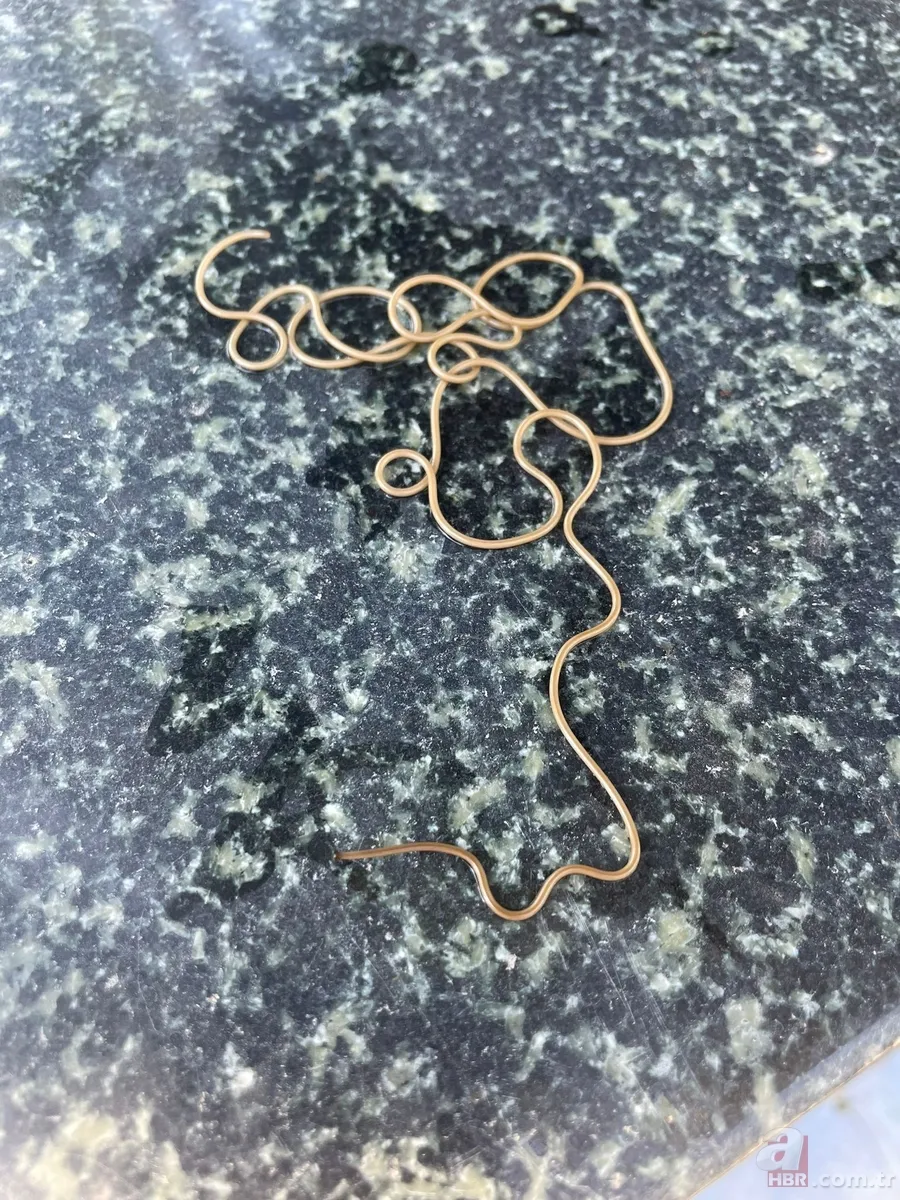 Artvin'de köy çeşmesinden fırladı tüm köyü ayağa kaldırdı! Çeşmenin içinden vücudunu fırlattı, kıvrıla kıvrıla gelmek bilmedi 3