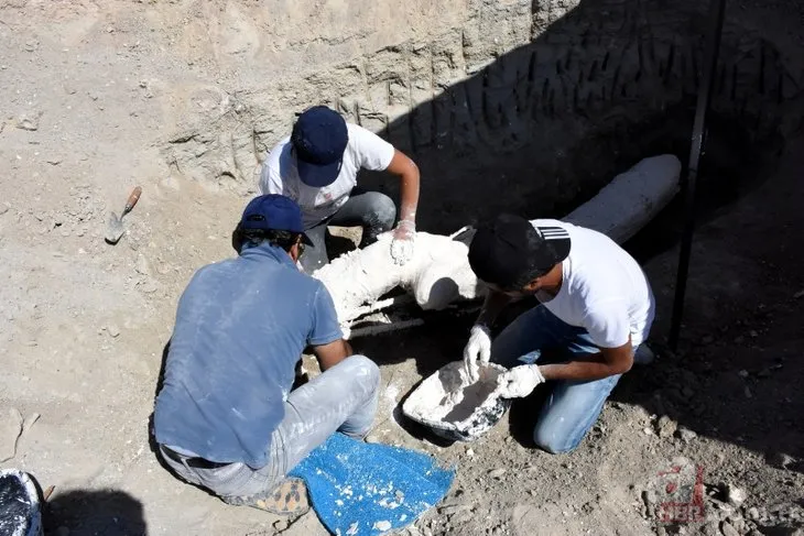 Kayseri’de çoban buldu! 7,5 milyon yaşında