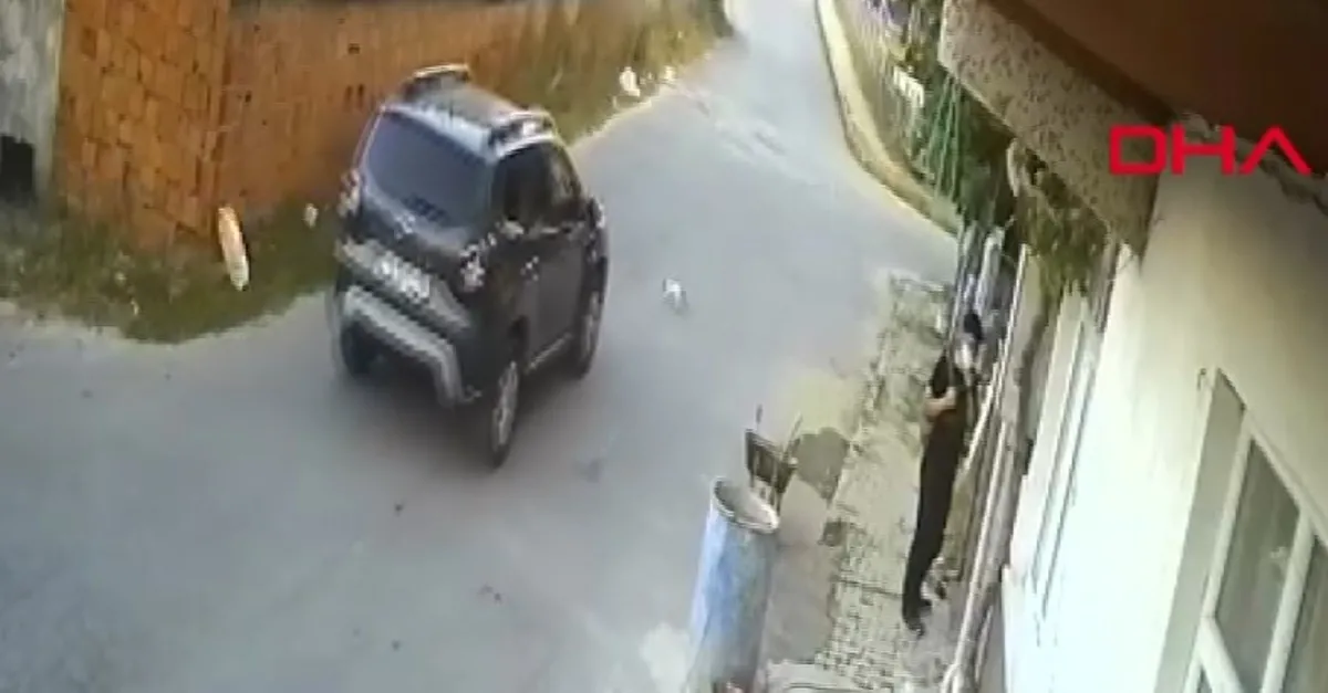 İstanbul’da kediyi ezen sürücü kamerada