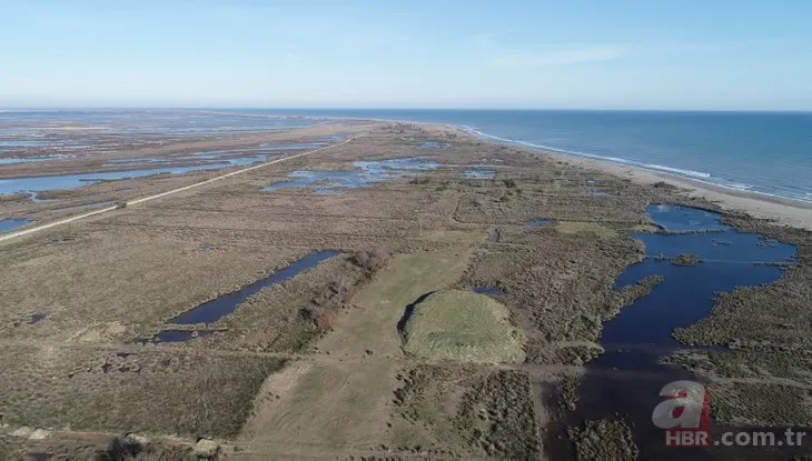Kızılırmak Deltası Kuş Cenneti tehdit altında: Geri dönüşsüz bir noktaya gidebiliriz