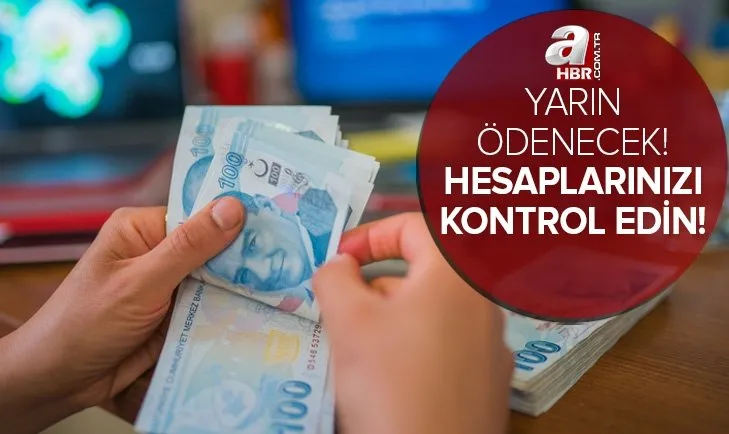 Yarın ödenecek... Hesaplarınızı kontrol edin! T.C. kimlik numarasının sonu 4, 6, 8 olanlar dikkat! Bakanlık saat verdi