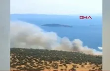 İzmir’de ormanlık alanda yangın!
