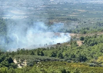 Son dakika! Kuşadası'nda orman yangını: 2 dönümden fazla alan hasar gördü