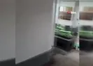 Büyükada açıklarında vapur arızalandı, yolcular denizde mahsur kaldı