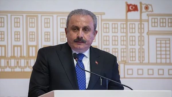 TBMM Başkanı Mustafa Şentop'tan yangınlar hakkında açıklama! Devletimiz yakılan bir dalın bile hesabını sorar - 3