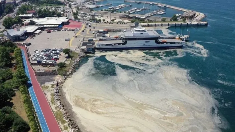 CHP'li belediyeler çevre felaketine çanak tutuyor! 3 yıldır söz verdikleri tesisi kurmadılar