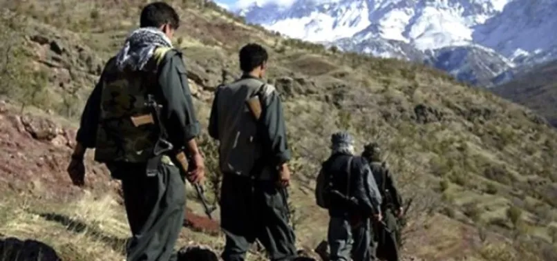 İçişleri Bakanlığı'ndan PKK raporu