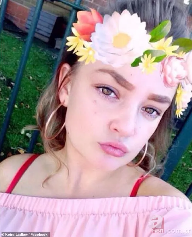 Sahiplendiği çoban köpeği sonu oldu! Parkta bitkin haldeyken bulmuştu her yerini parçalayarak öldürdü 2