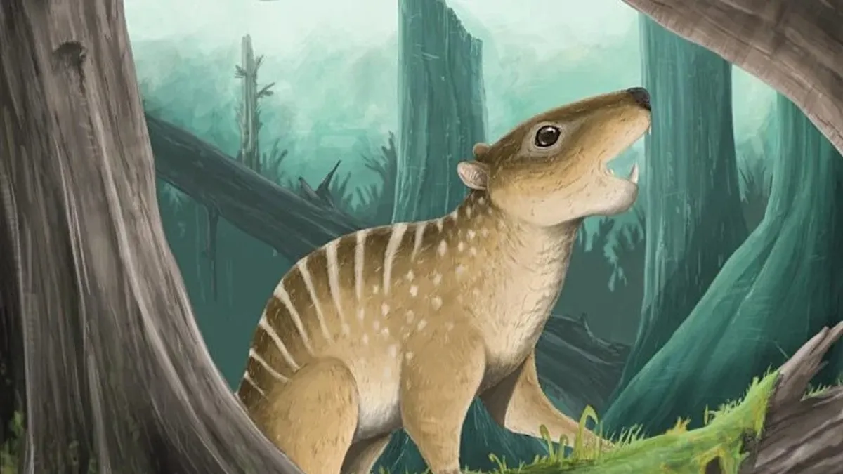 İngiltere'de 145 milyon yıllık fosil bulundu