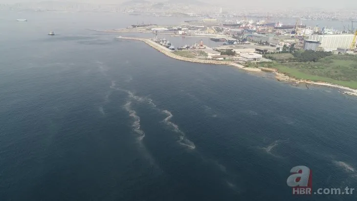 İstanbul’da korkutan görüntü! Müsilaj yeniden ortaya çıktı