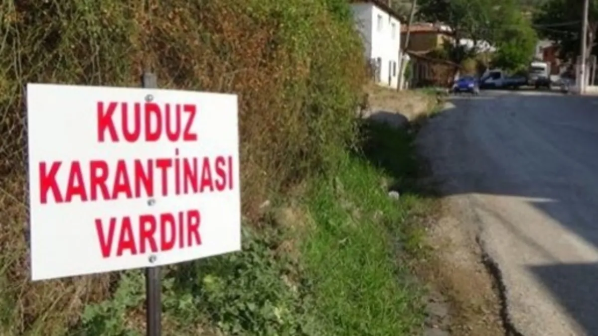 Kuduz tehlikesine dikkat! Şanlıurfa'da 1 mahalle daha karantinada