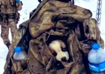 Mehmetçik yavru köpeği çantasında taşıdı