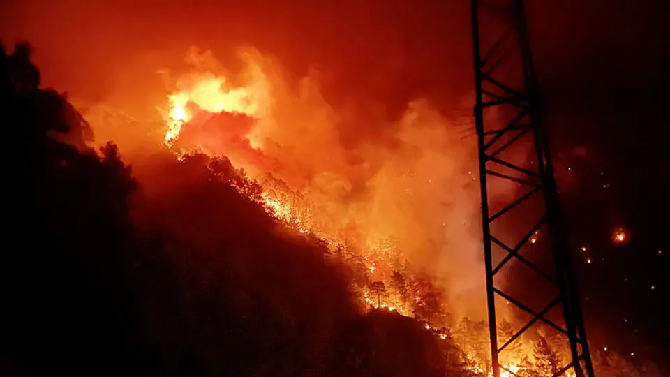 Alanya'da korkutan orman yangını! Bölgede kırmızı alarm