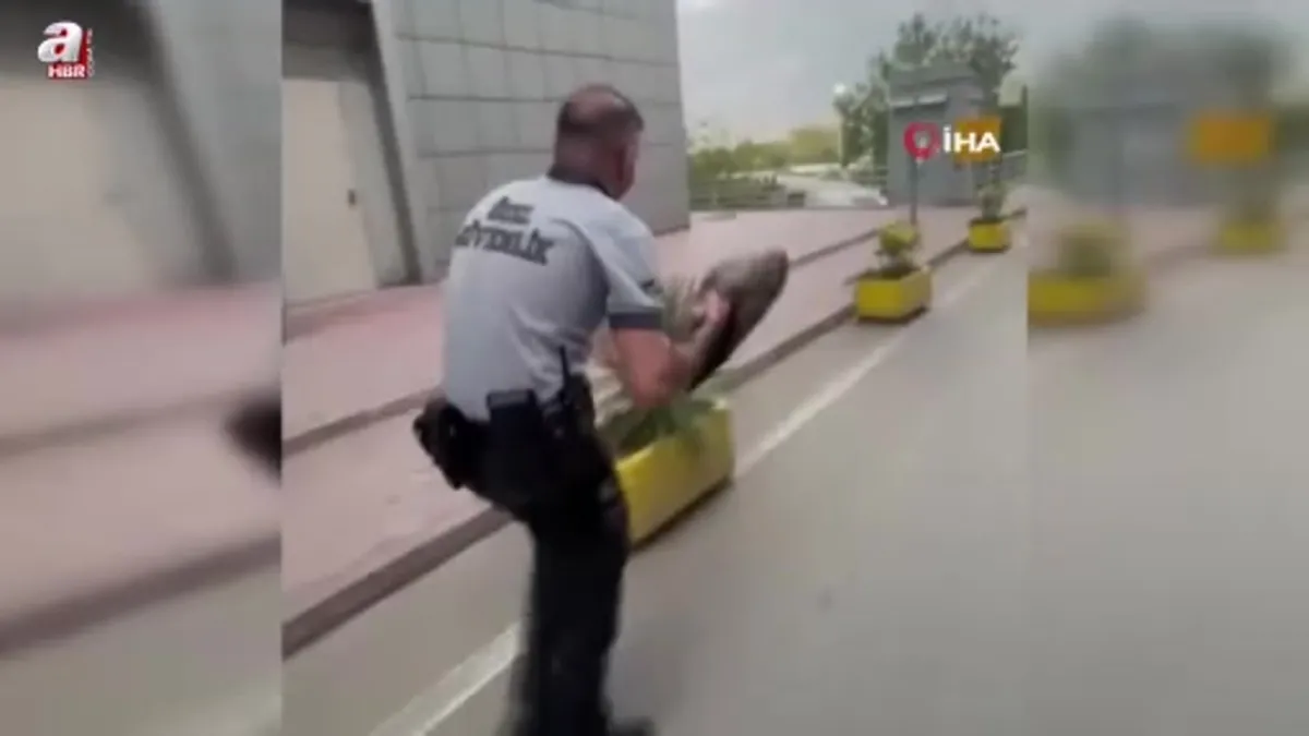 Bursa'da bir martı acile uçarak girdi