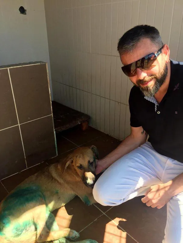 Sakarya Arifiye'de vahşet! Köpeğe görülmemiş işkence - 1