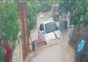 Hatay’da selde köpek akıntıya kapıldı