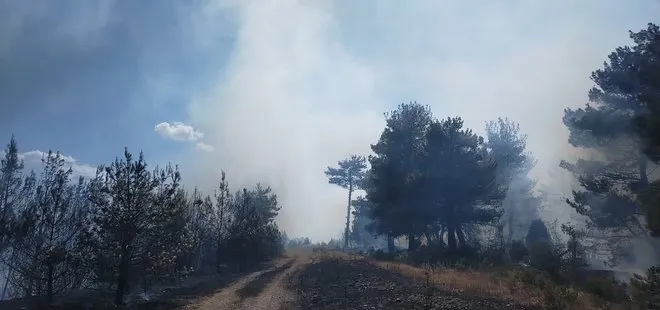 Çanakkale’de orman yangını! 3 Helikopter bölgede