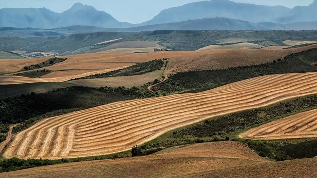 İstanbul'da en çok nerelerde 2B arazisi var? 5 milyon kişi tapusuna kavuşacak