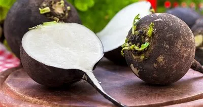 Siyah turpun faydaları nelerdir? Siyah turp nasıl tüketilmelidir?