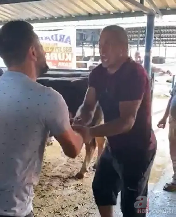 Kurban Bayramı'na saatler kala hareketli dakikalar! Kiminin kolu çatladı, kiminin boğası kaçtı 5